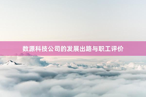 数源科技公司的发展出路与职工评价