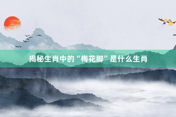 揭秘生肖中的“梅花脚”是什么生肖