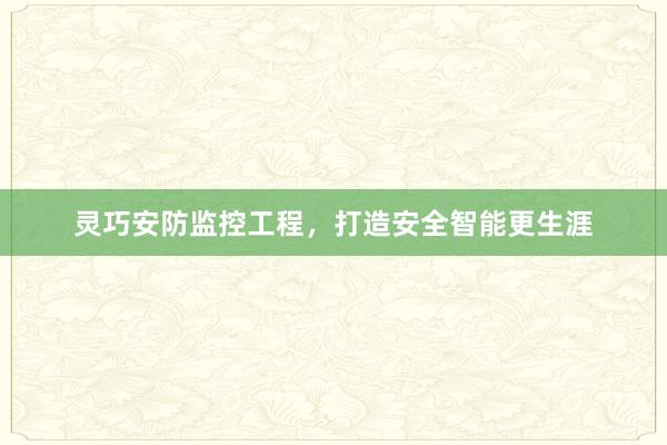 灵巧安防监控工程，打造安全智能更生涯