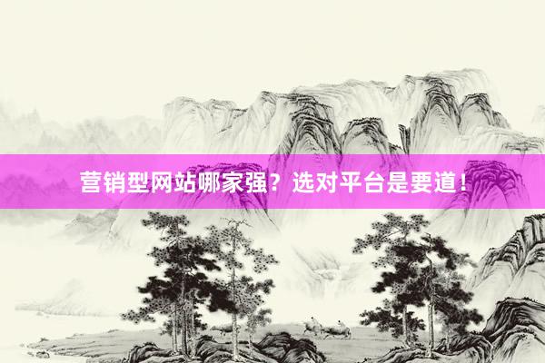 营销型网站哪家强？选对平台是要道！