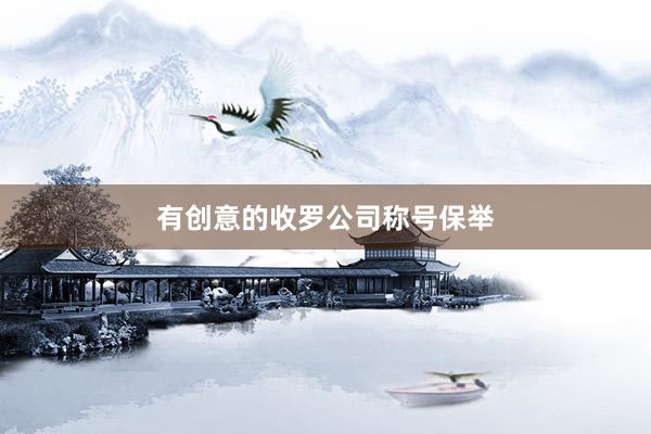 有创意的收罗公司称号保举