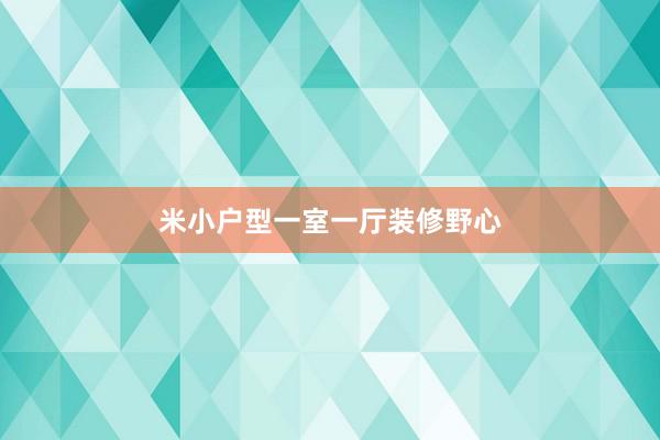 米小户型一室一厅装修野心